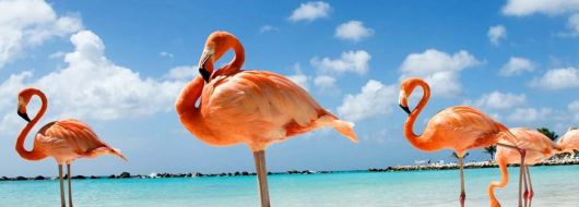 ЕКСКЛУЗИВНИ ОТСТЪПКИ - Почивка на о.Джерба, Тунис със самолет от София - 7 нощувки!